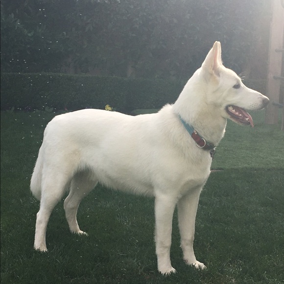 Meet your Posher, Jenna - Picture 4 of 4